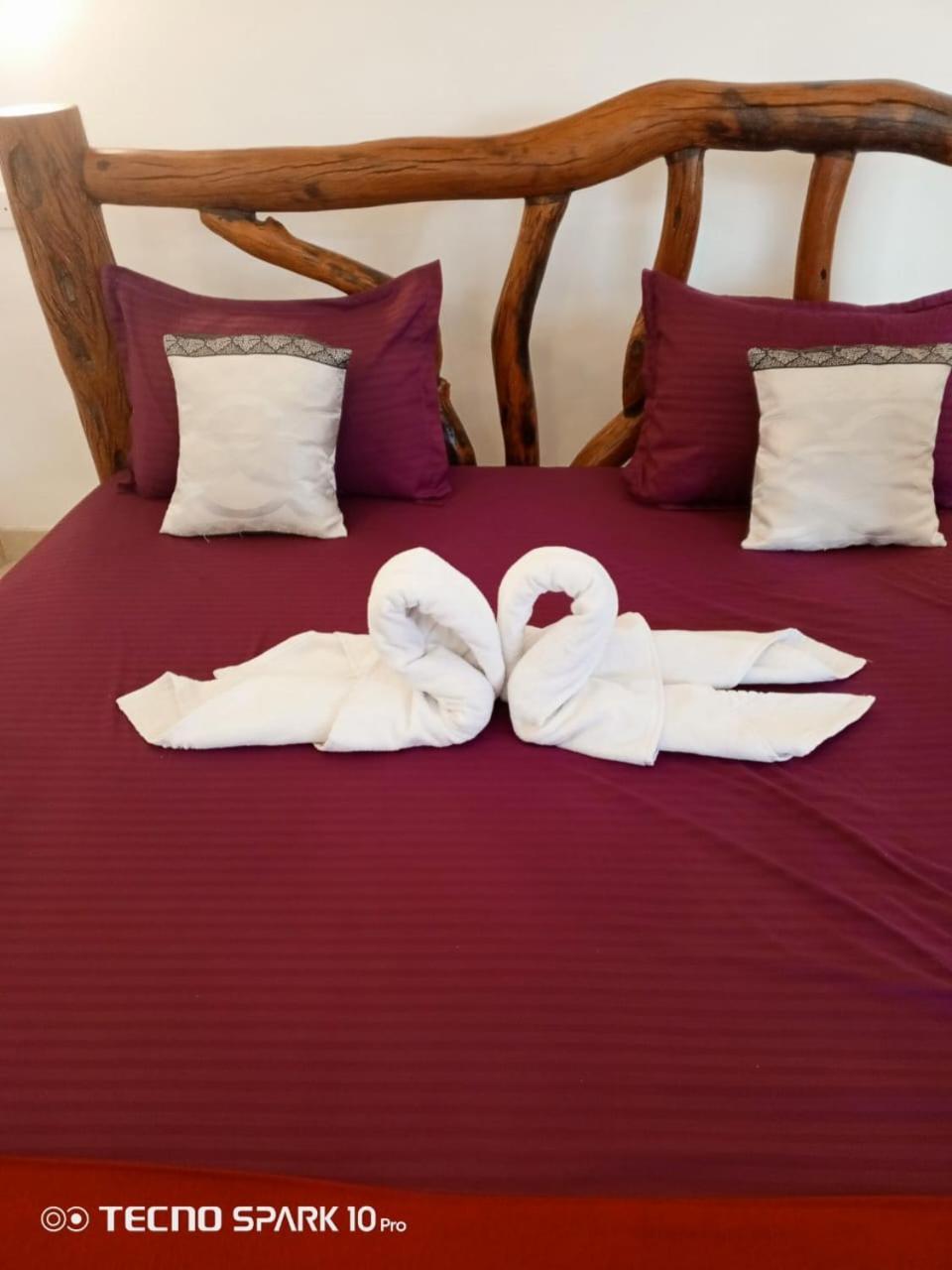Ayurvedic Lanka Wellness Hotel Moragaswewa 外观 照片