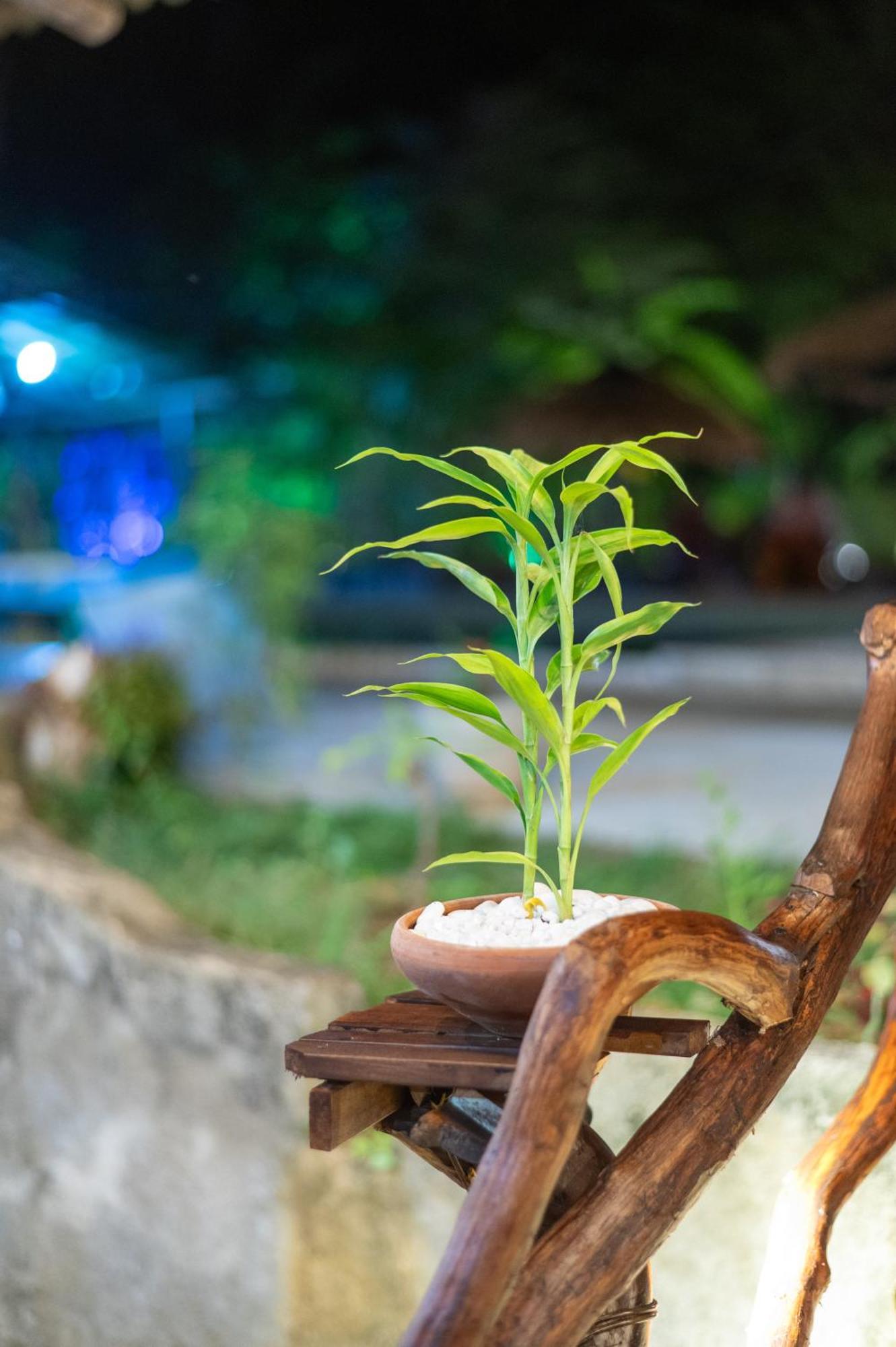 Ayurvedic Lanka Wellness Hotel Moragaswewa 外观 照片