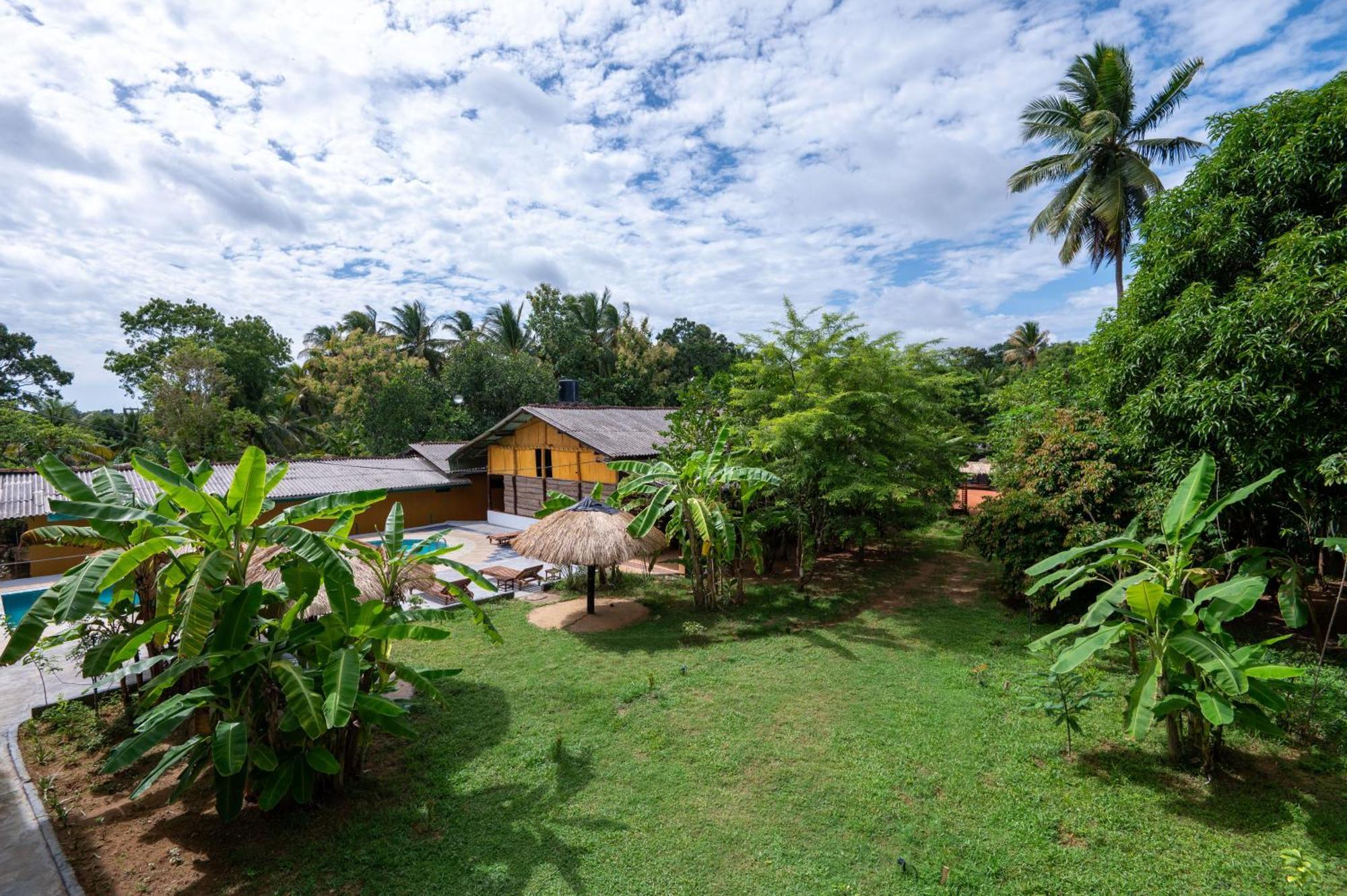 Ayurvedic Lanka Wellness Hotel Moragaswewa 外观 照片