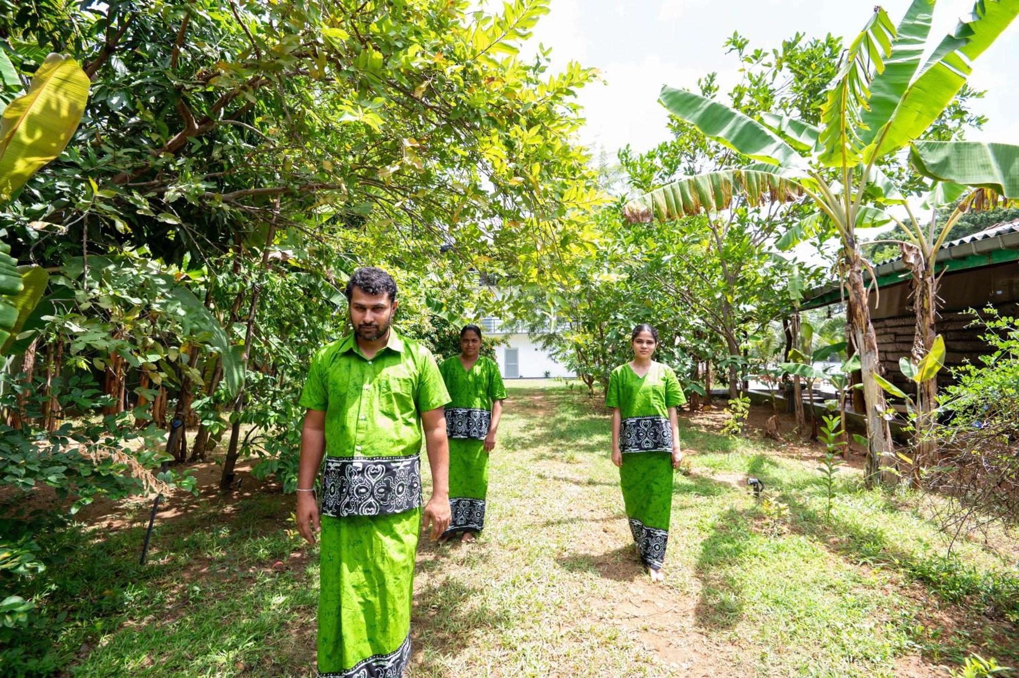 Ayurvedic Lanka Wellness Hotel Moragaswewa 外观 照片